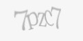 Защитный код