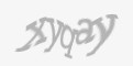 Защитный код