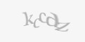 Защитный код
