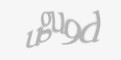 Защитный код