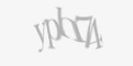 Защитный код